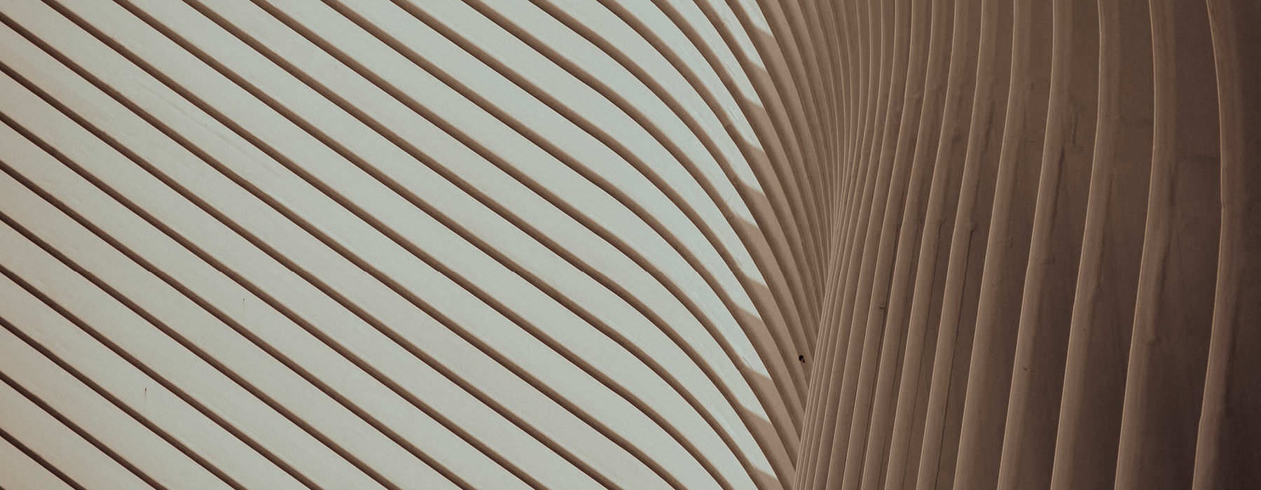 close up photograph of line pattern